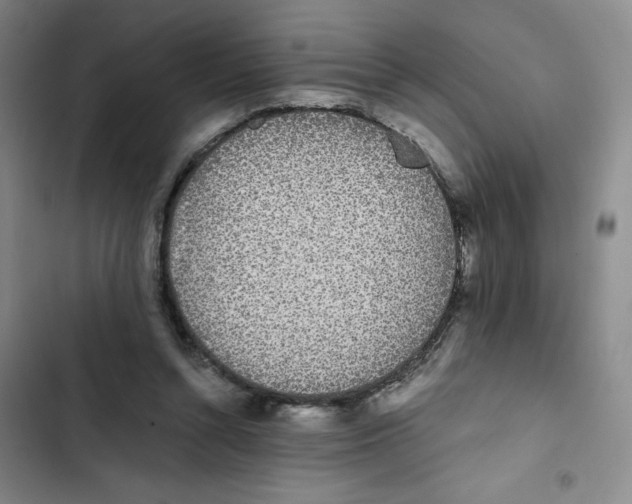 X0000102810352200809150957