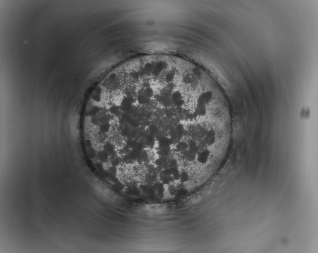 X0000102810353200809150957