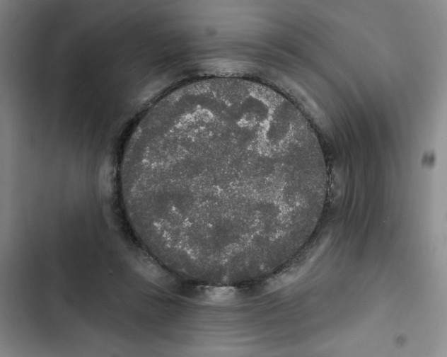 X0000102810355200809150957