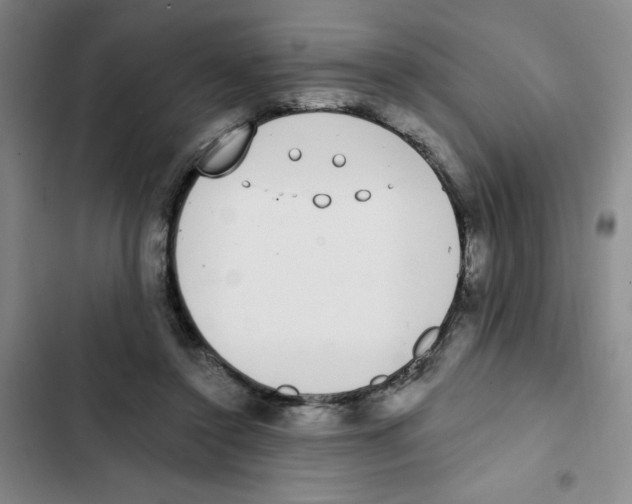 X0000102810356200809150957