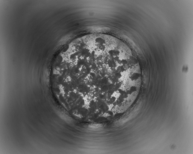 X0000102810357200809150957