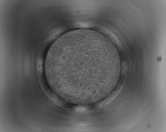 X0000102810358200809150957