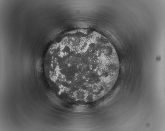 X0000102810359200809150957