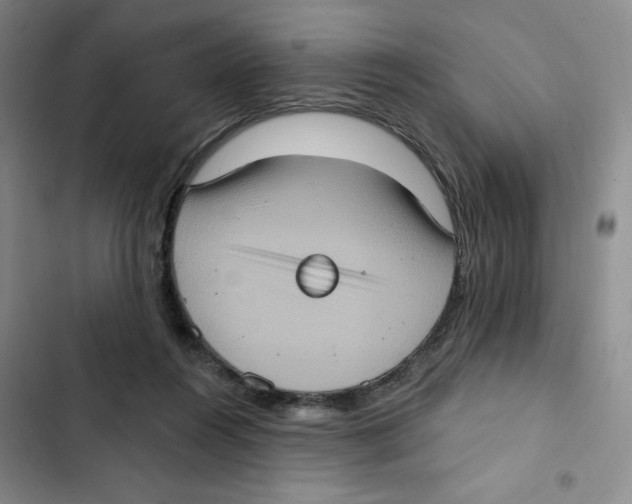 X0000102810360200809150957