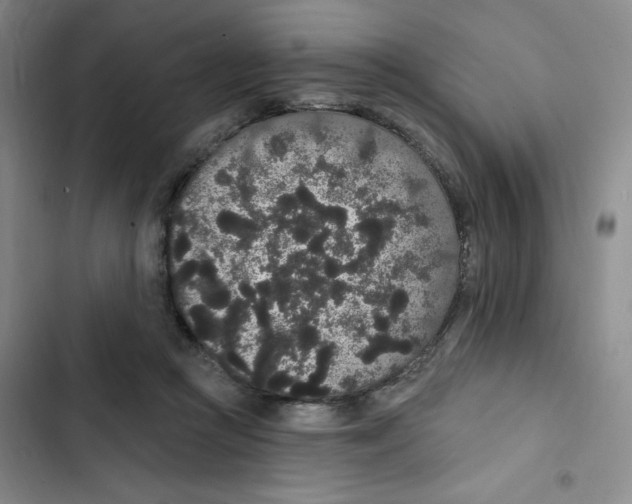 X0000102810361200809150957