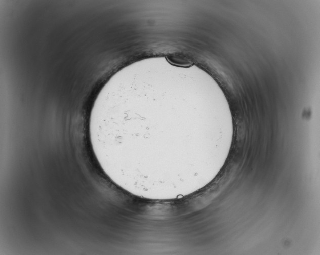 X0000102810362200809150957