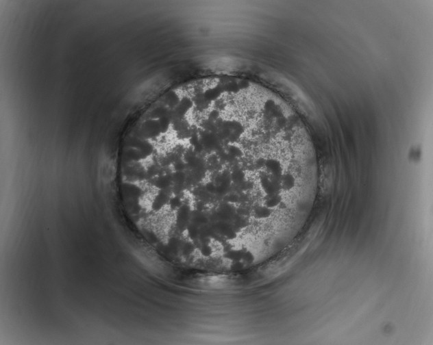 X0000102810365200809150957