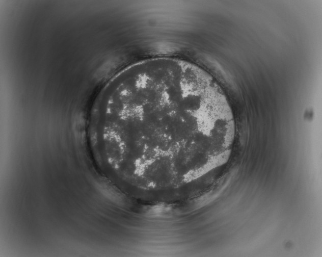 X0000102810366200809150957