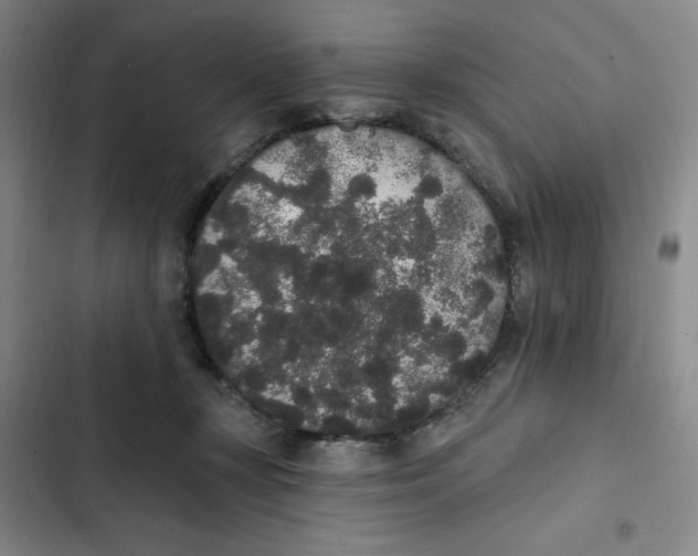 X0000102810367200809150957