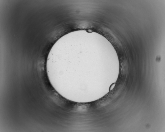 X0000102810368200809150957