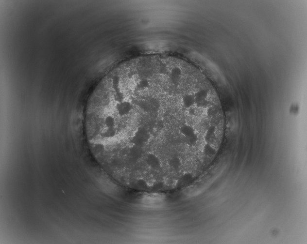 X0000102810369200809150957