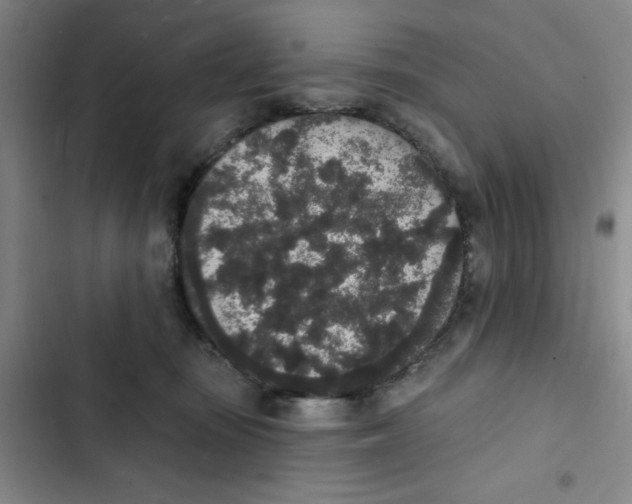 X0000102810371200809150957