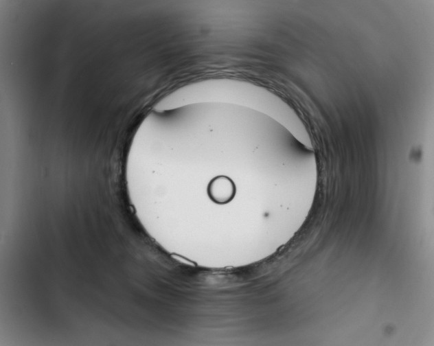 X0000102810372200809150957