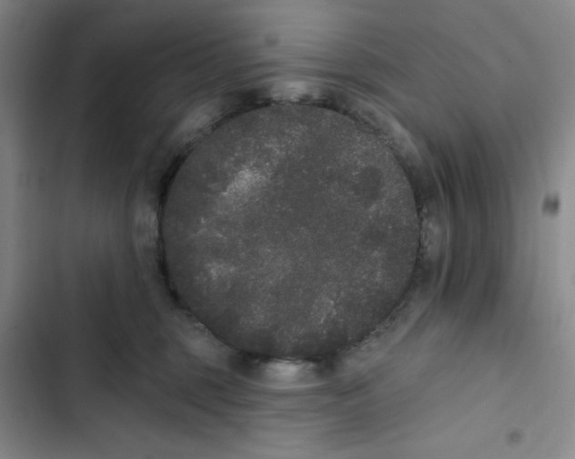 X0000102810375200809150957