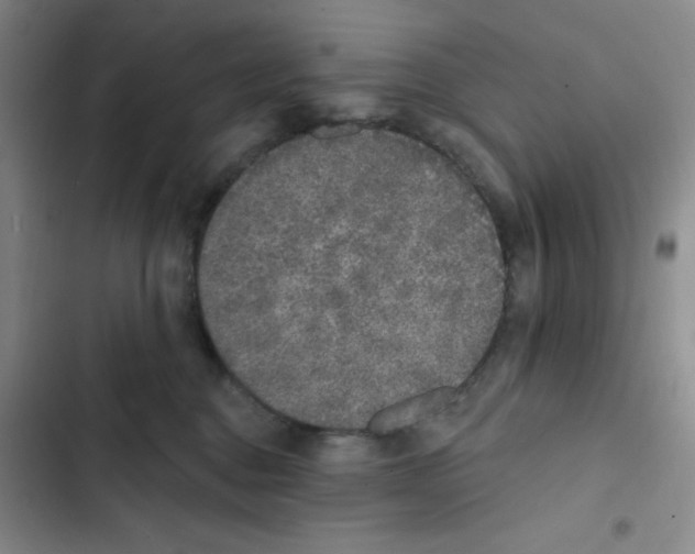 X0000102810376200809150957