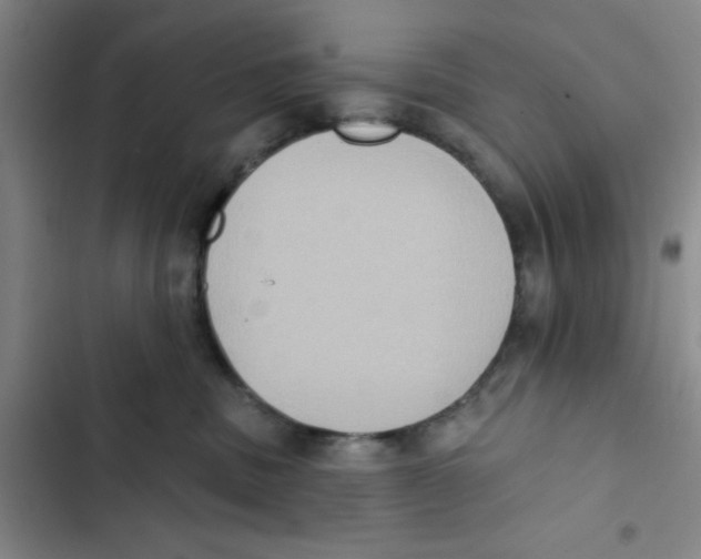 X0000102810379200809150957