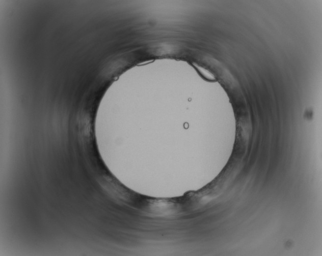 X0000102810380200809150957