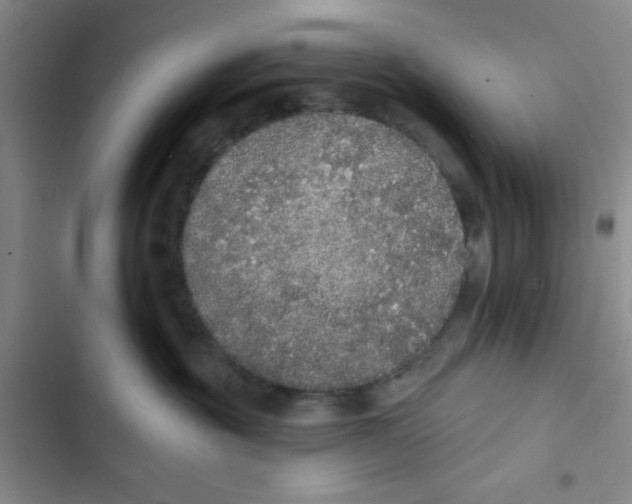 X0000102810381200809150957