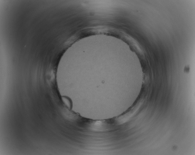 X0000102810382200809150957