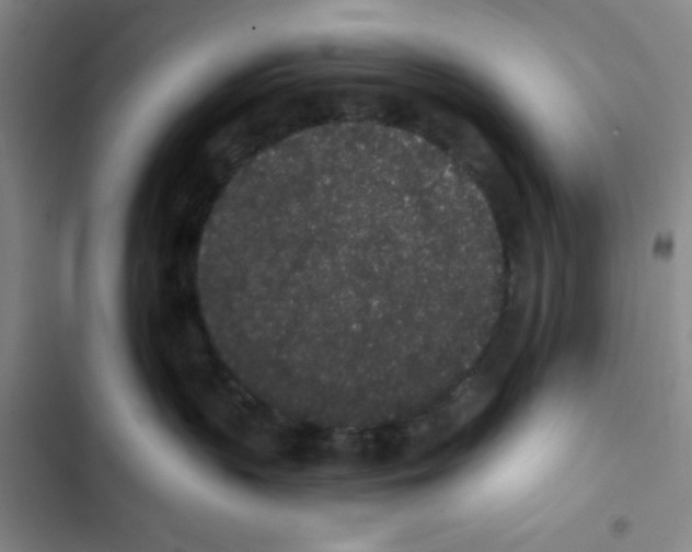 X0000102810383200809150957