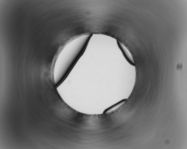 X0000102810384200809150957