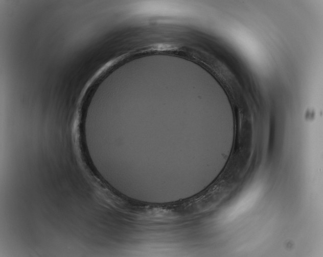 X0000102810387200809150956