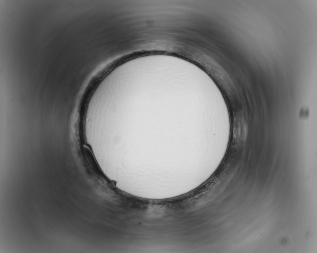 X0000102810388200809150956