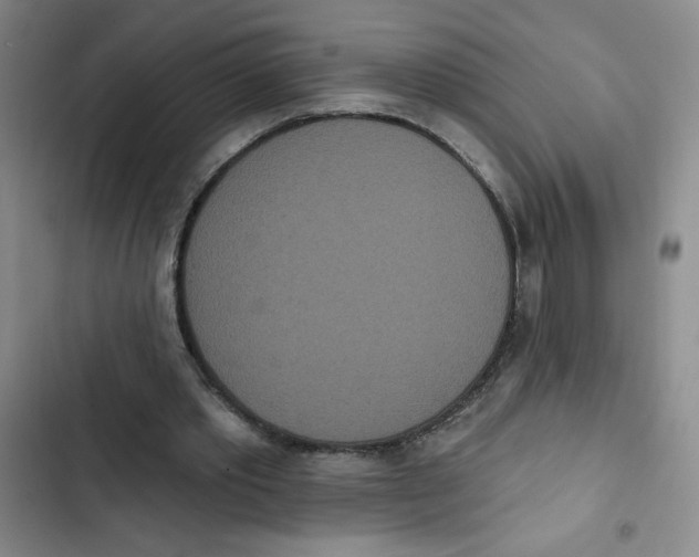 X0000102810389200809150956