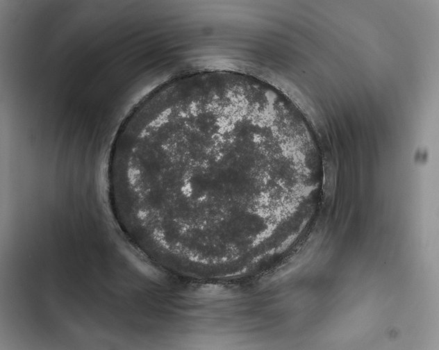 X0000102810390200809150956