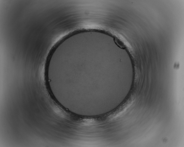 X0000102810391200809150956