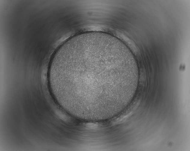 X0000102810394200809150956