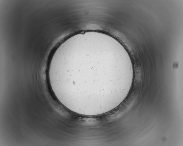 X0000102810395200809150956