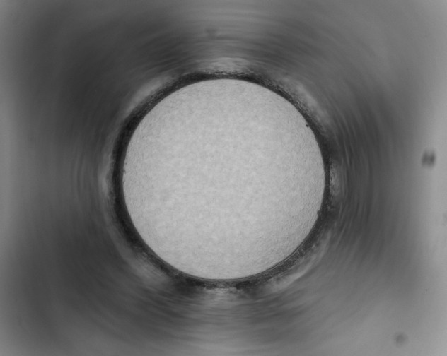 X0000102810396200809150956