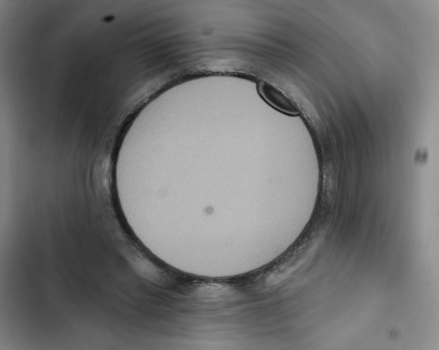 X0000102810397200809150956