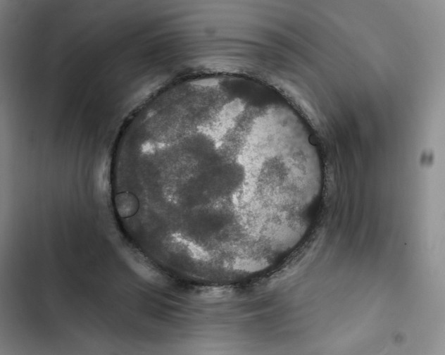 X0000102810398200809150956