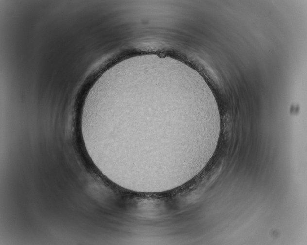 X0000102810400200809150956