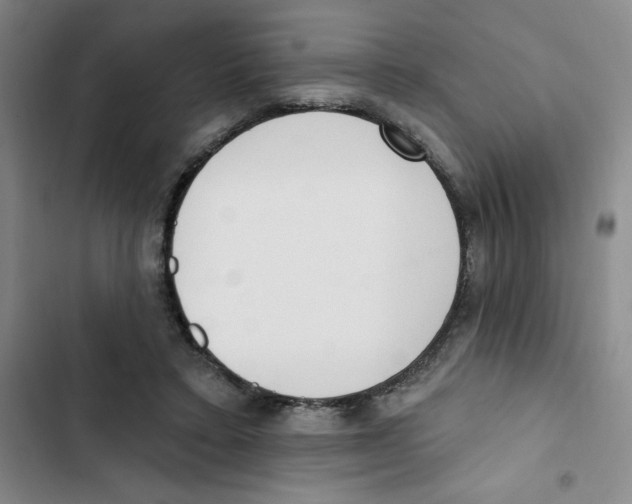 X0000102810403200809150956