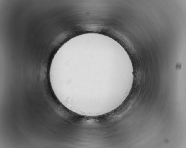 X0000102810407200809150956