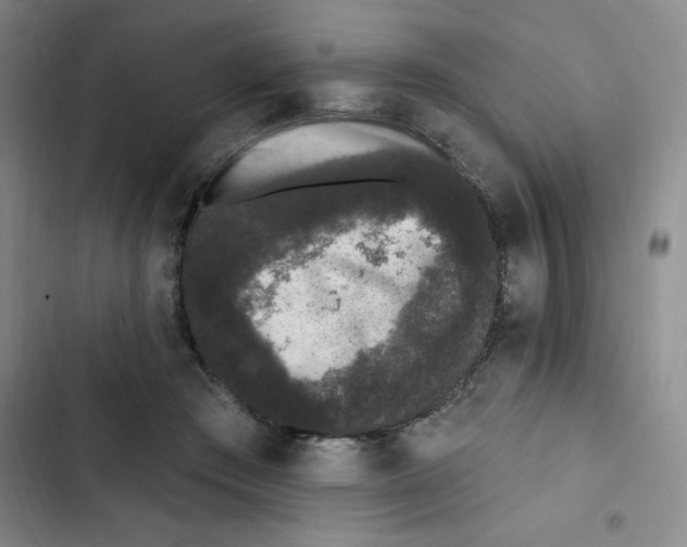 X0000102810409200809150956