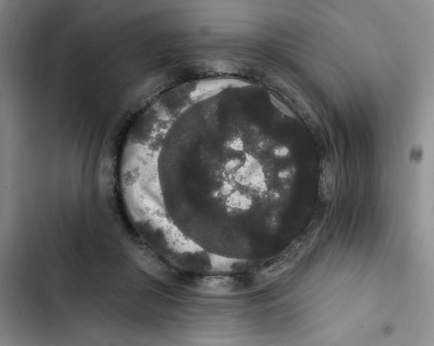 X0000102810410200809150956