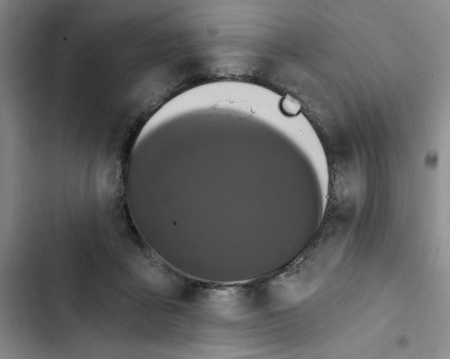 X0000102810411200809150956