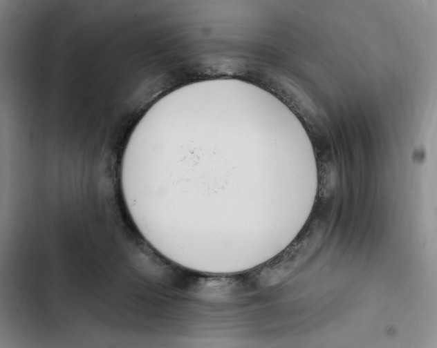 X0000102810414200809150956