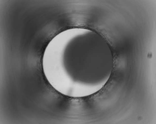 X0000102810415200809150956