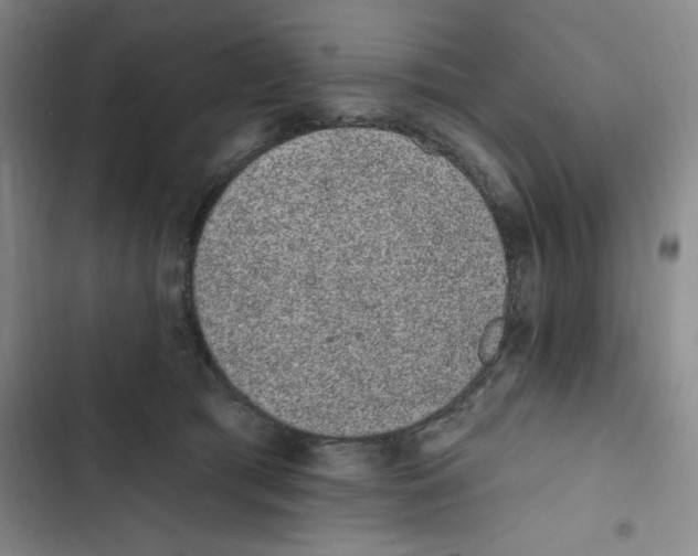 X0000102810417200809150956