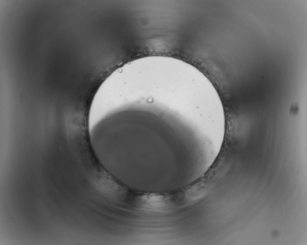 X0000102810419200809150956