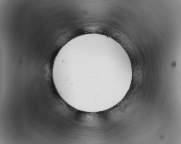 X0000102810420200809150956