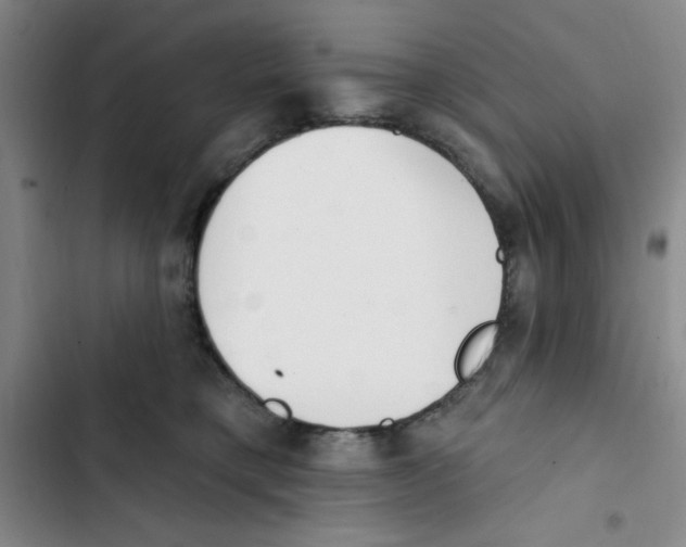 X0000102810421200809150956