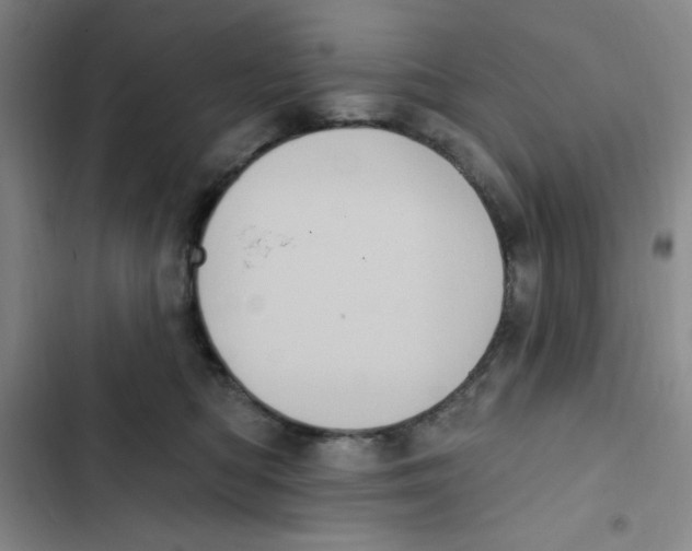 X0000102810422200809150956