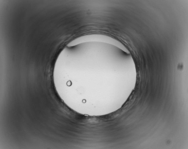 X0000102810423200809150956