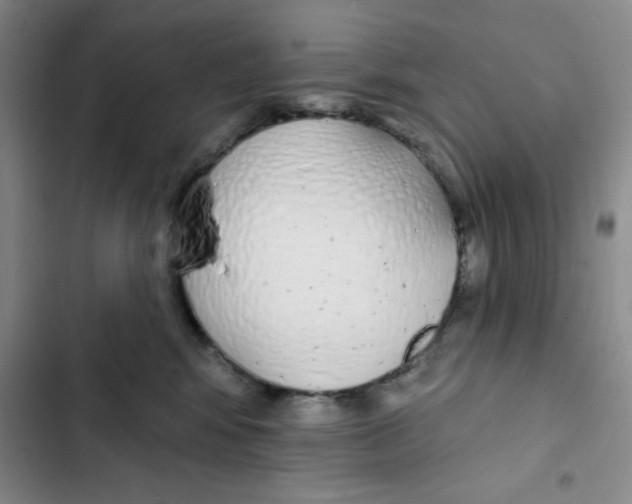 X0000102810424200809150956